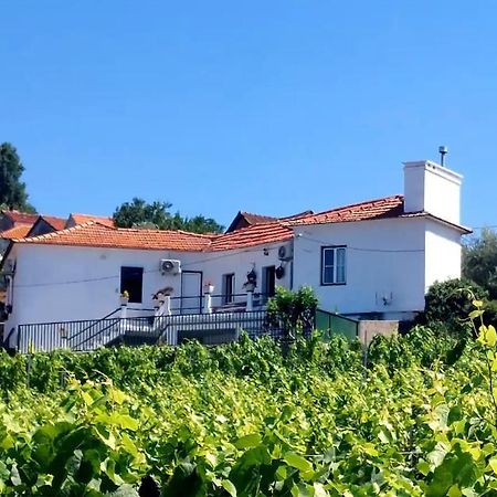 Casa Ceci Douro Villa Cidadelhe  Luaran gambar