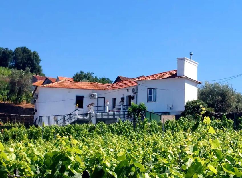 Casa Ceci Douro Villa Cidadelhe  Luaran gambar